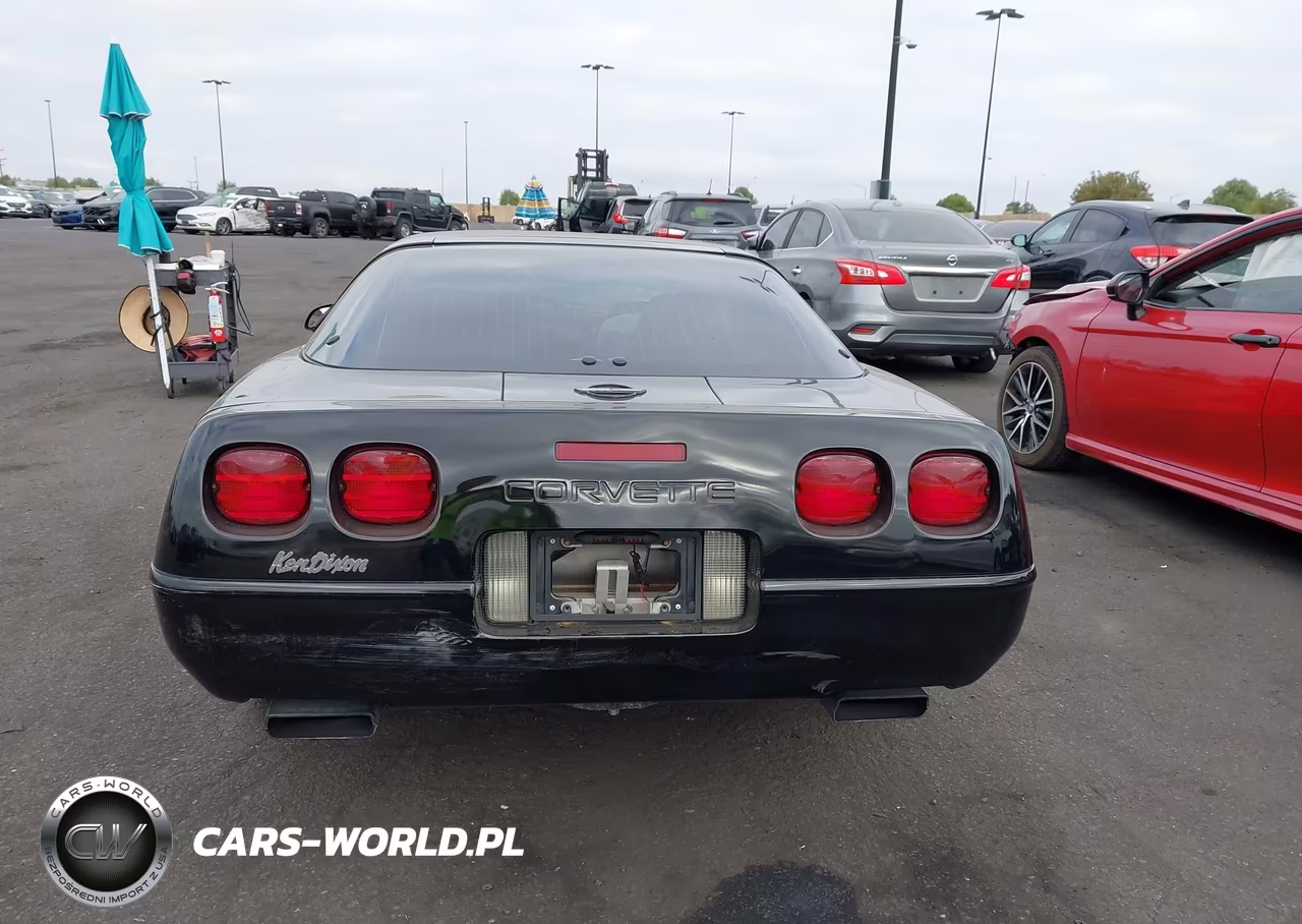1996 Chevrolet Corvette VIN:1G1YY22P6T5106888 - 17