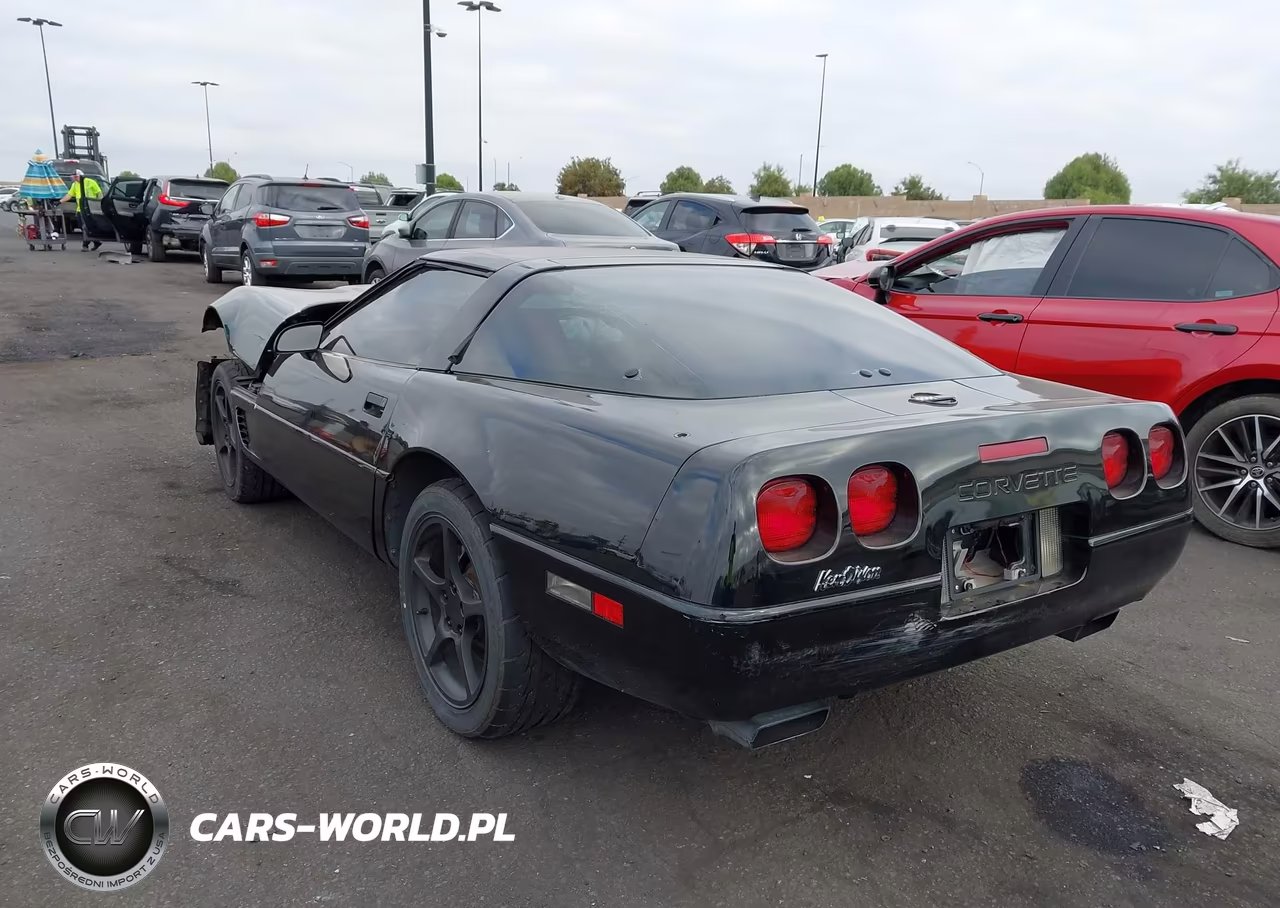 1996 Chevrolet Corvette VIN:1G1YY22P6T5106888 - 3