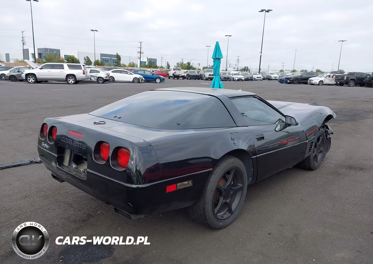 1996 Chevrolet Corvette VIN:1G1YY22P6T5106888 - 4