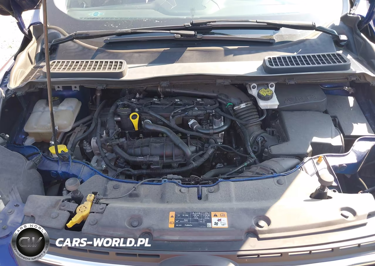 2016 Ford Escape Se VIN:1FMCU9GX0GUC04658 - 10