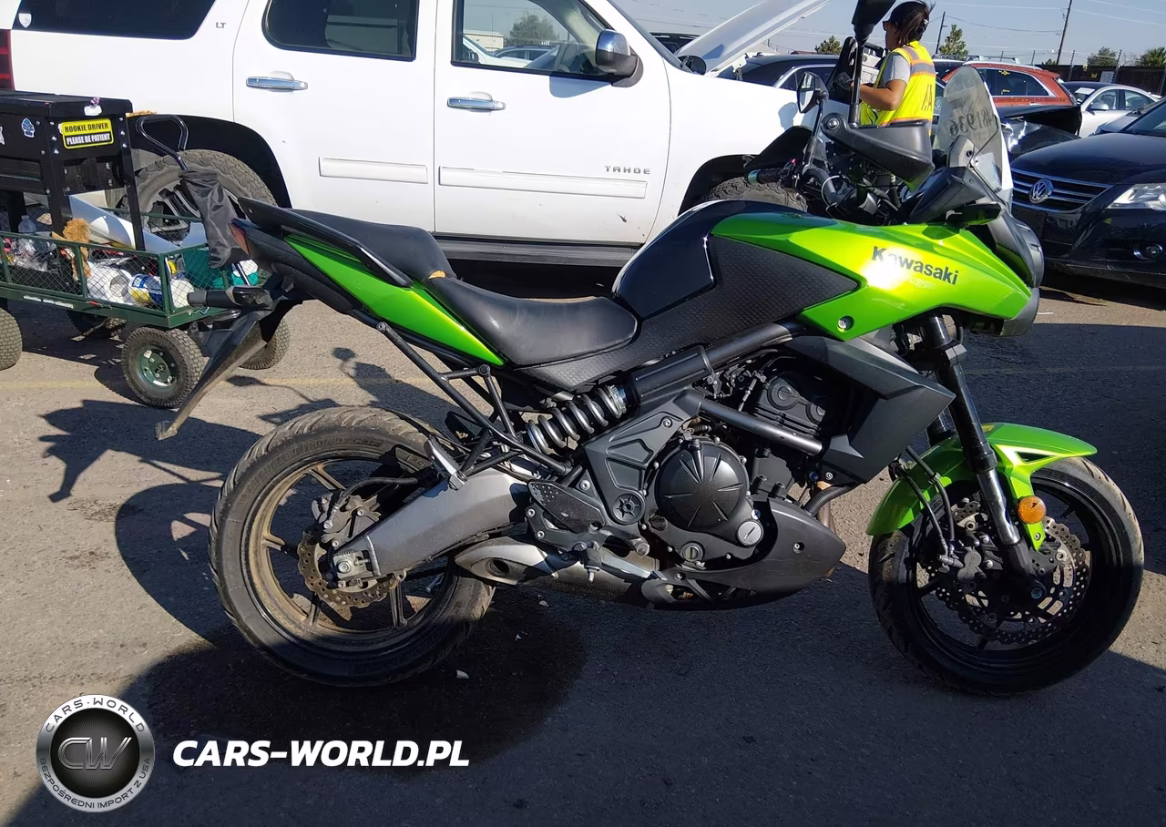 2014 Kawasaki Kle650 D VIN:JKALEED16EDA08017 - 12