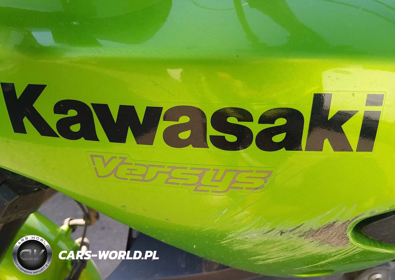 2014 Kawasaki Kle650 D VIN:JKALEED16EDA08017 - 17