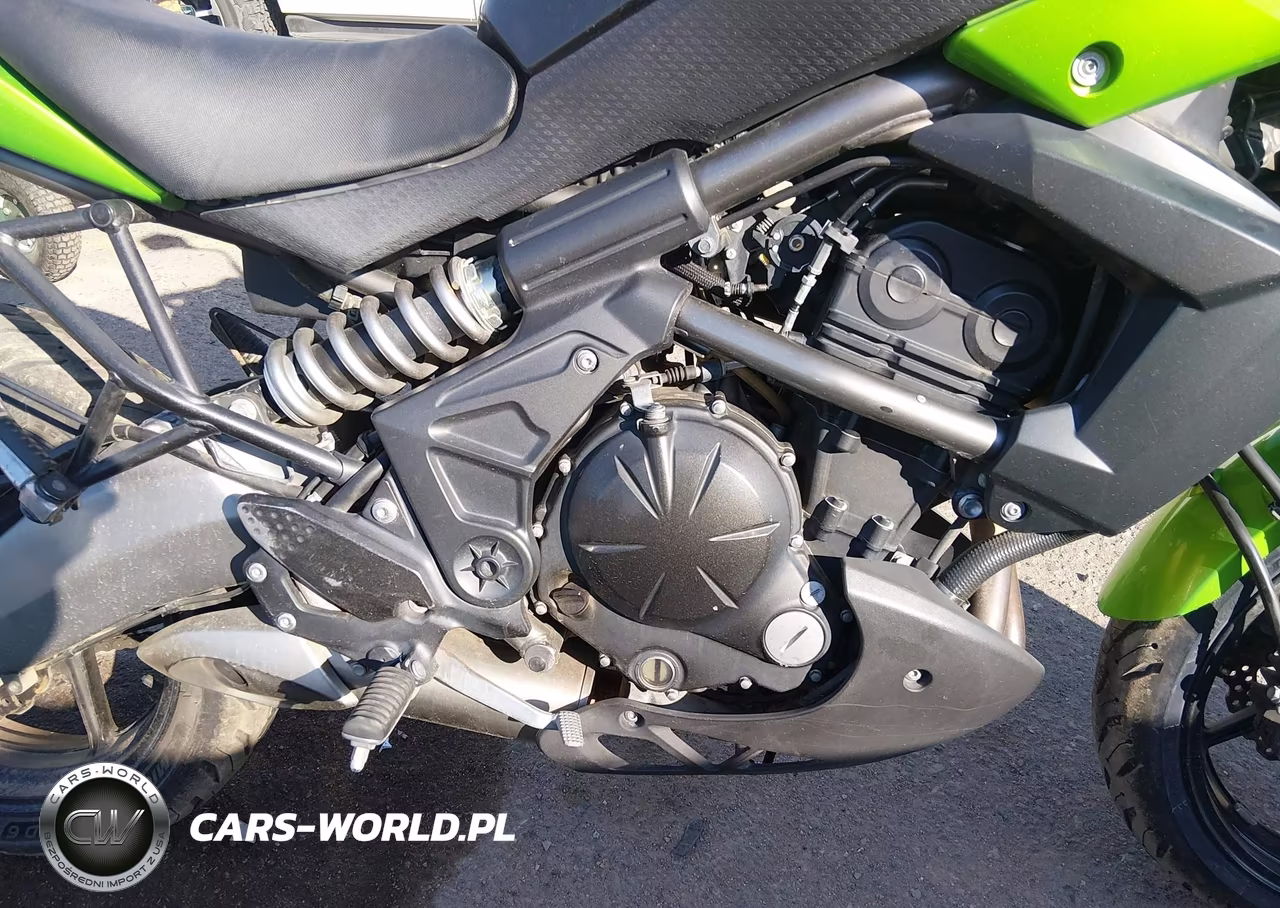 2014 Kawasaki Kle650 D VIN:JKALEED16EDA08017 - 8