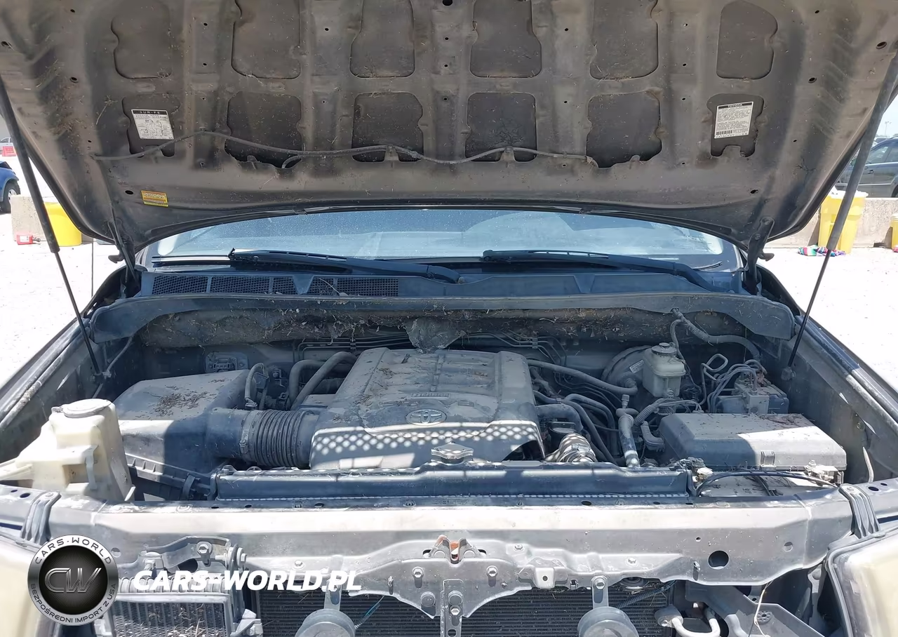 2007 Toyota Tundra Sr5 5.7L V8 VIN:5TFBV54187X029922 - 10