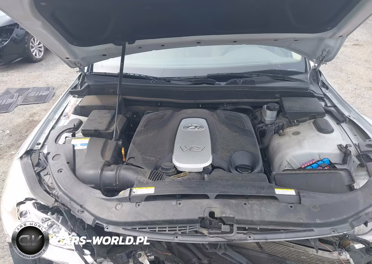 2011 Hyundai Genesis 4.6 VIN:KMHGC4DF1BU114110 - 10