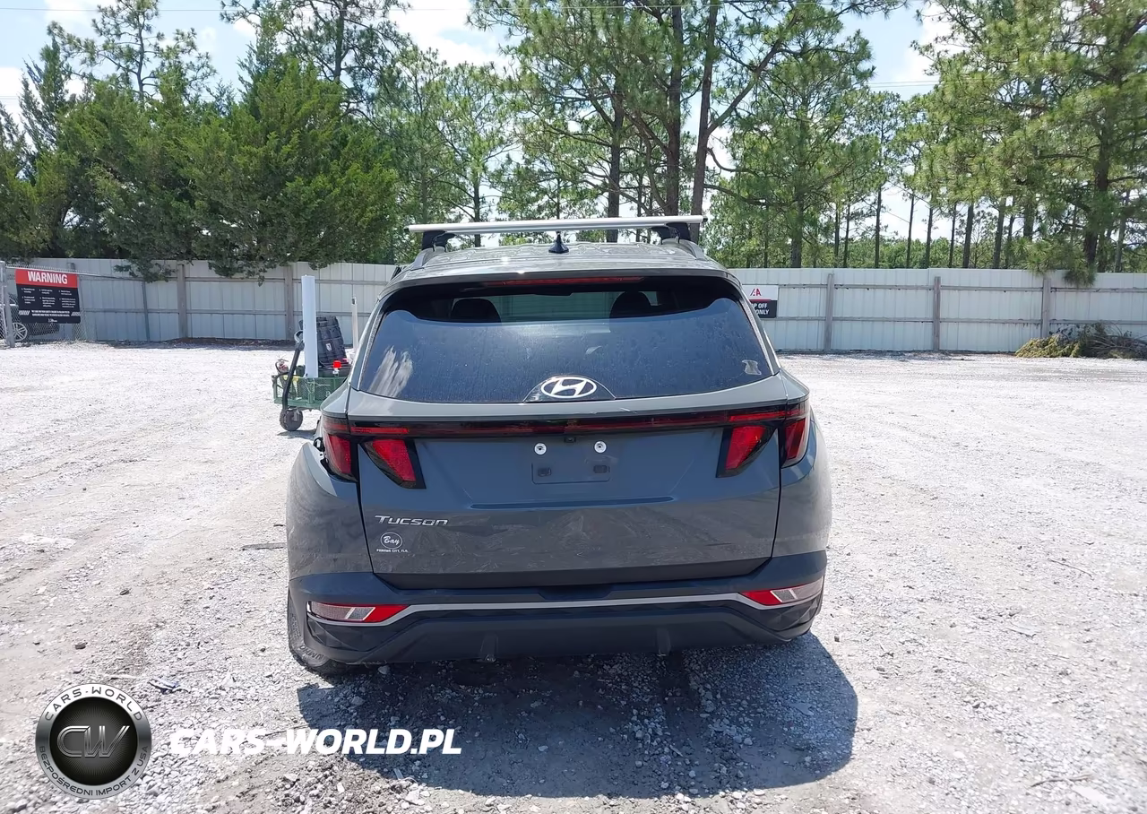 2024 Hyundai Tucson Sel VIN:5NMJB3DE6RH299187 - 17