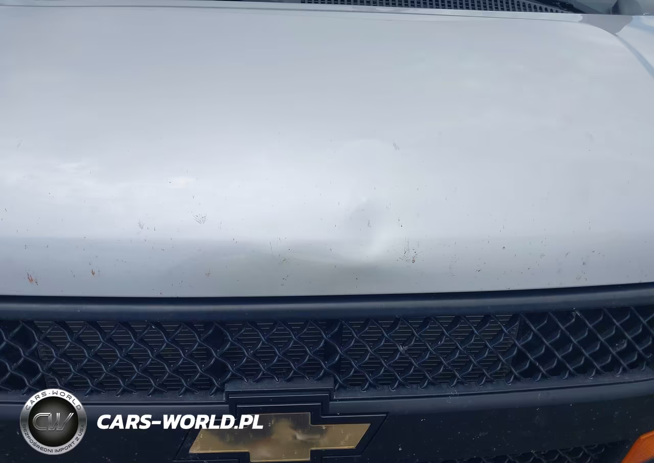2019 Chevrolet Express 2500 Ls VIN:1GAWGEFG6K1211023 - 12