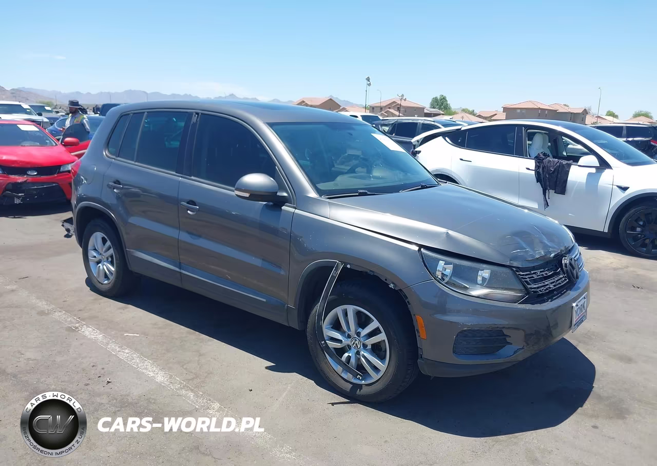 2013 Volkswagen Tiguan S