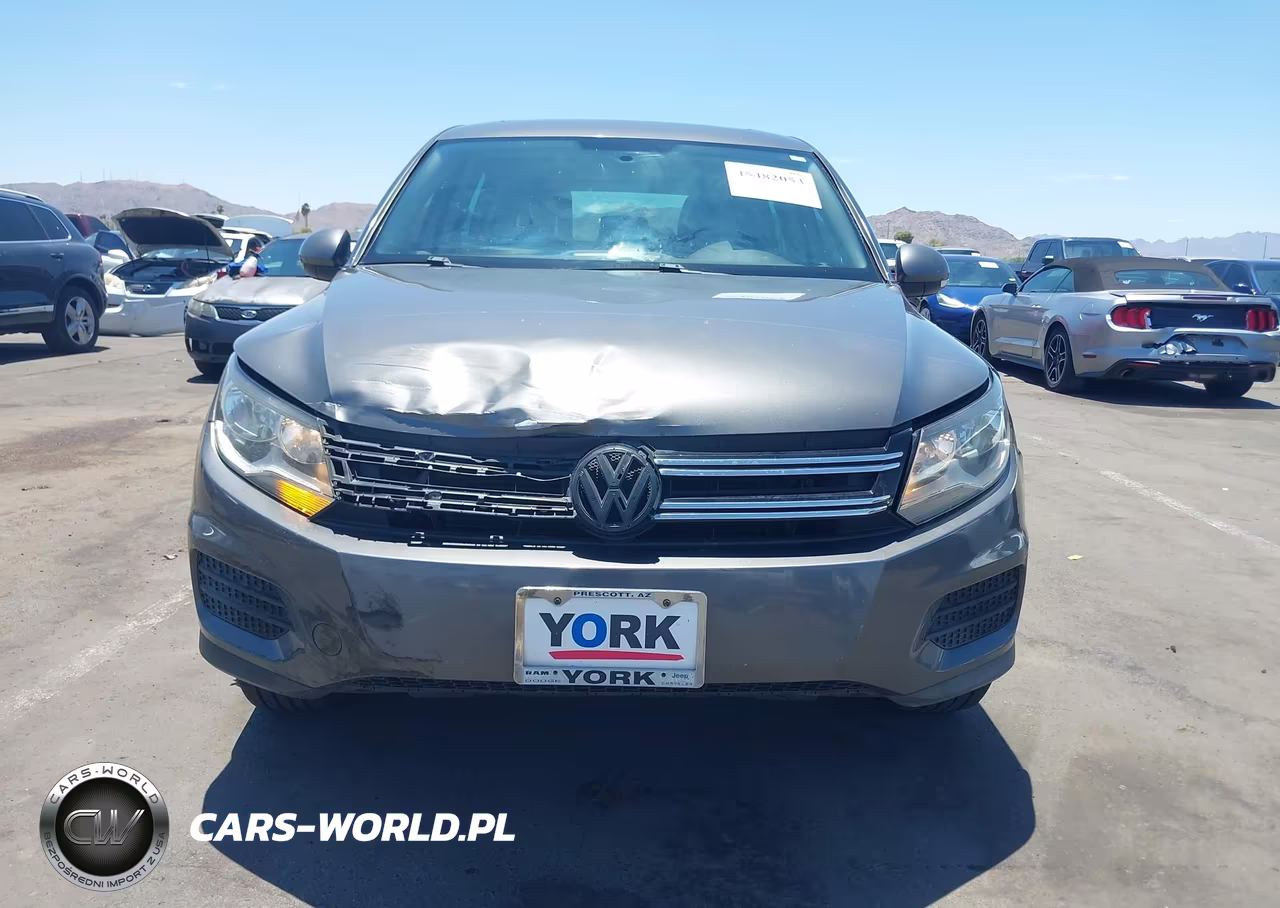 2013 Volkswagen Tiguan S VIN:WVGBV3AX0DW613757 - 12