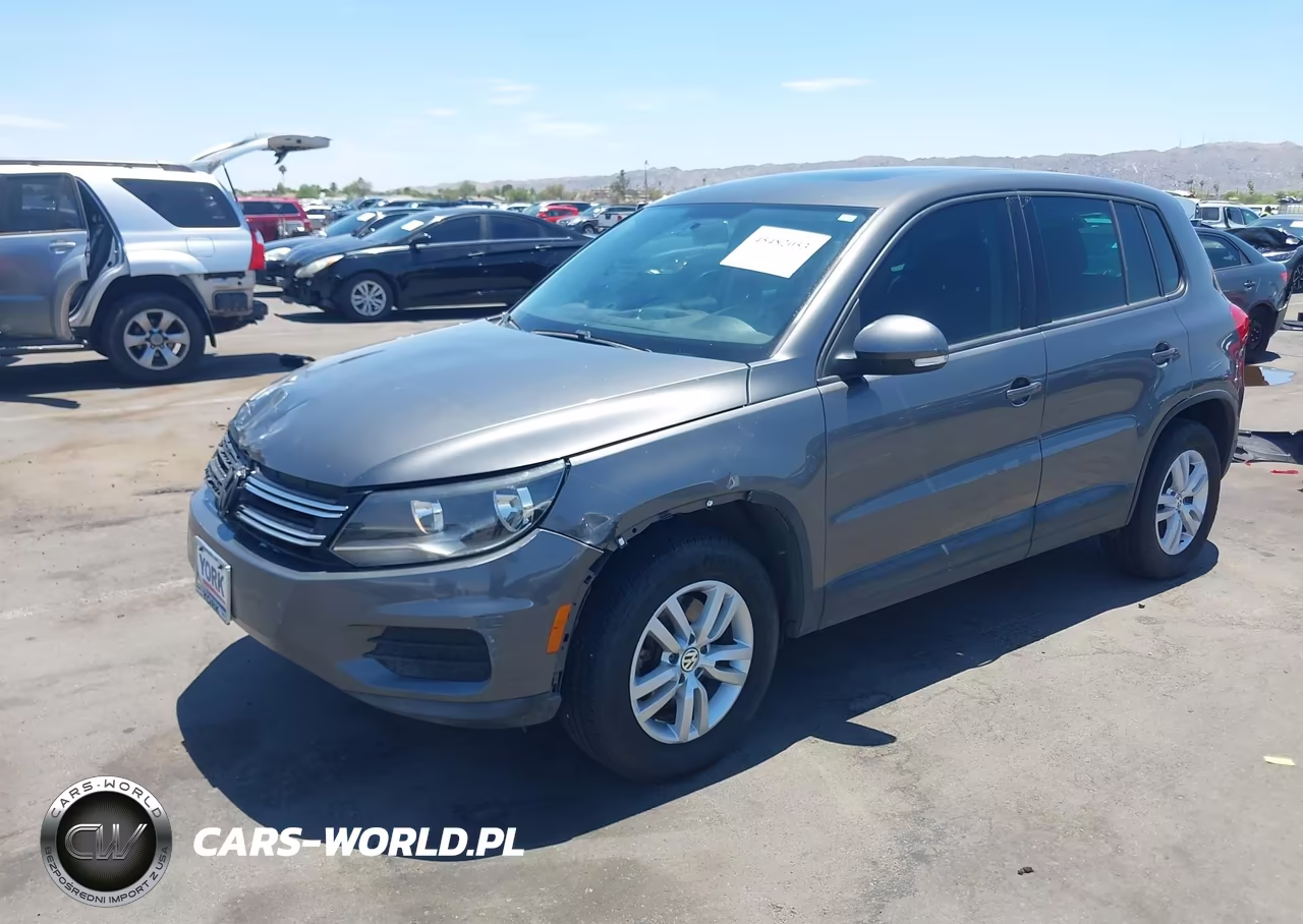 2013 Volkswagen Tiguan S VIN:WVGBV3AX0DW613757 - 2