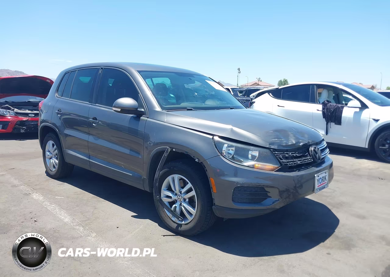 2013 Volkswagen Tiguan S VIN:WVGBV3AX0DW613757 - 6