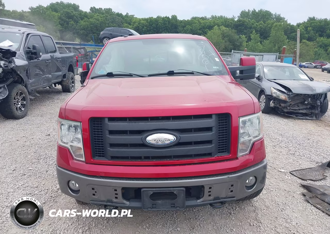 2009 Ford F-150 Fx4-King Ranch-Lariat-Platinum-Xl-Xlt VIN:1FTPW14V29FA46061 - 12