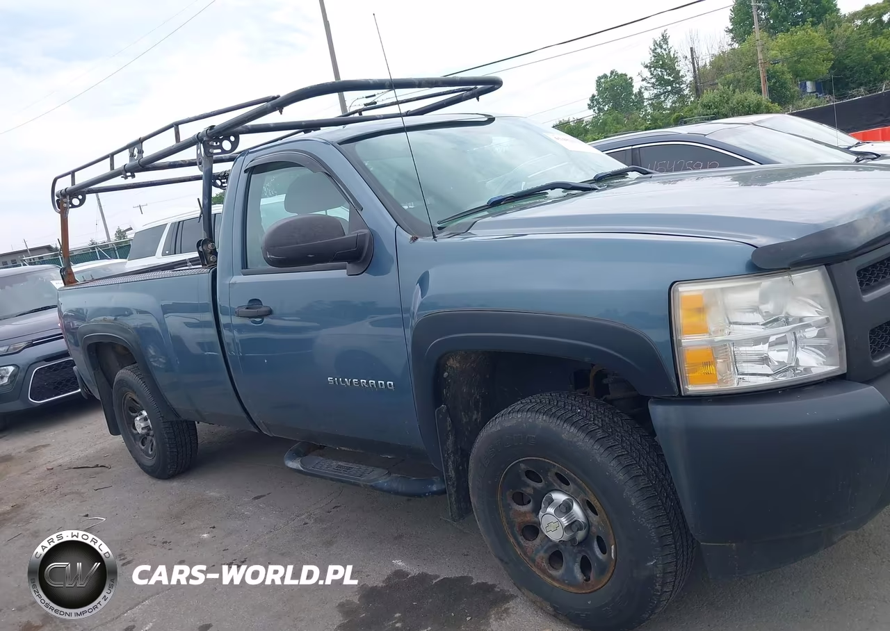 2010 Chevrolet Silverado 1500 Work Truck VIN:1GCPCPEX1AZ181594 - 13