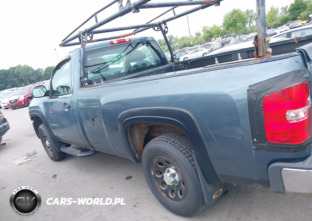 2010 Chevrolet Silverado 1500 Work Truck VIN:1GCPCPEX1AZ181594 - 14