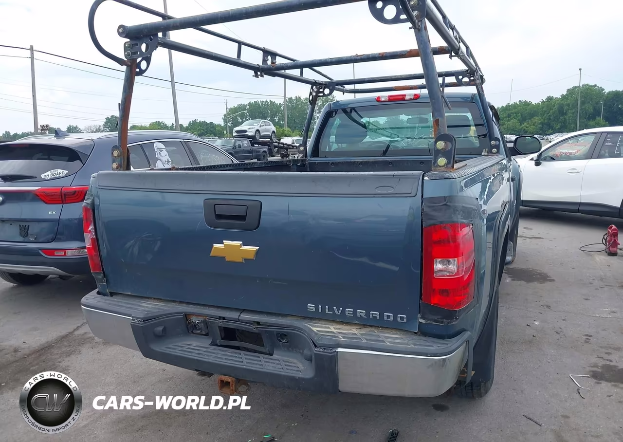2010 Chevrolet Silverado 1500 Work Truck VIN:1GCPCPEX1AZ181594 - 16