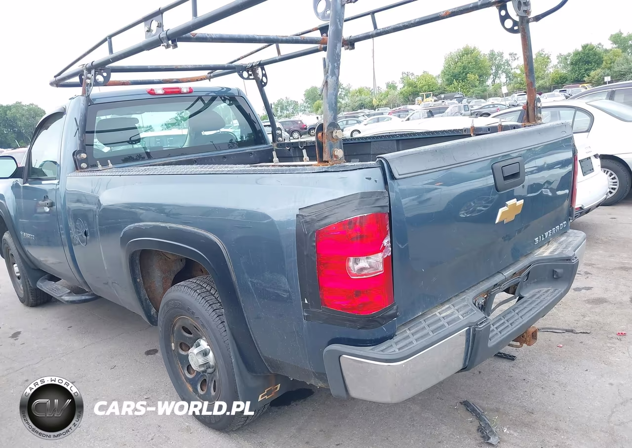 2010 Chevrolet Silverado 1500 Work Truck VIN:1GCPCPEX1AZ181594 - 3