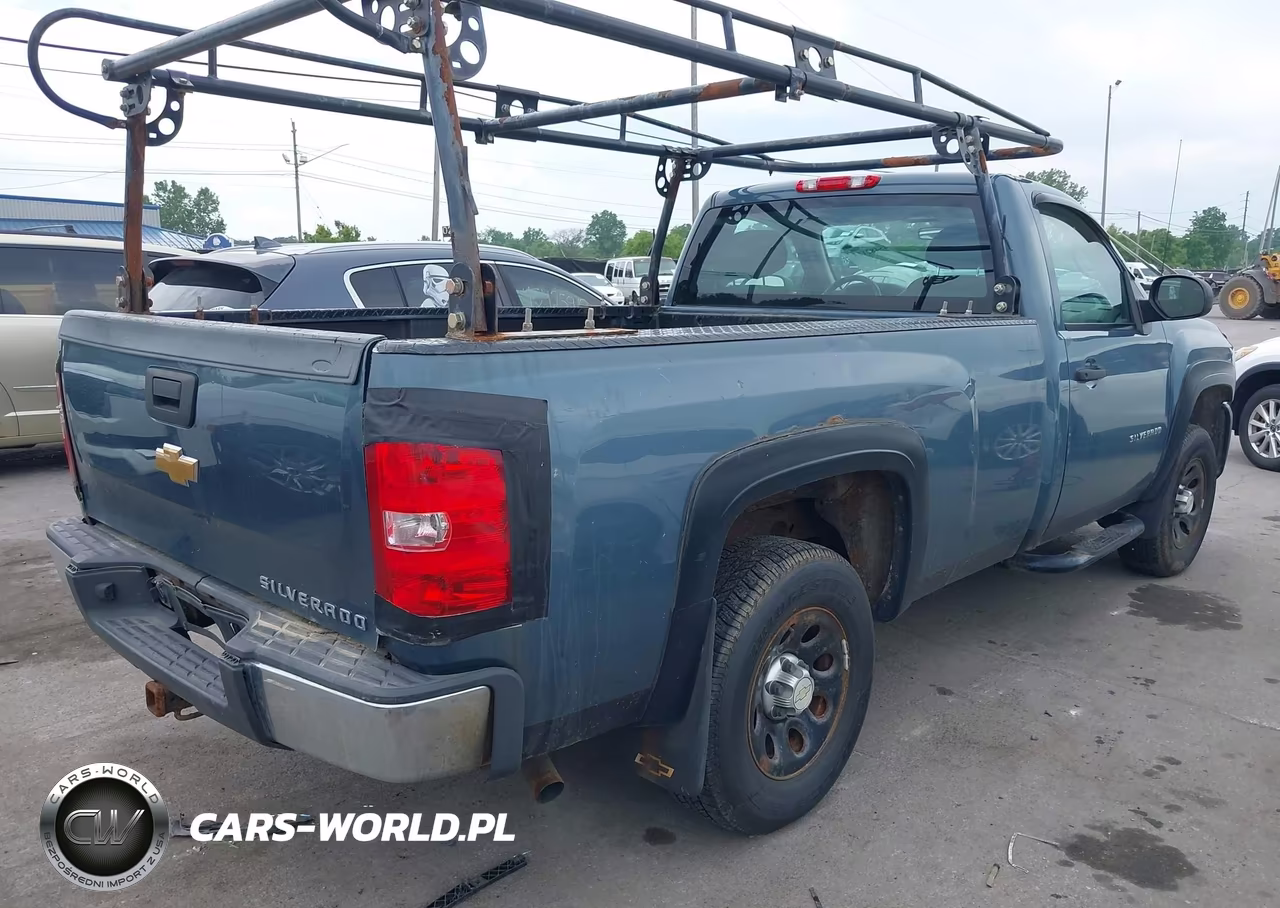 2010 Chevrolet Silverado 1500 Work Truck VIN:1GCPCPEX1AZ181594 - 4