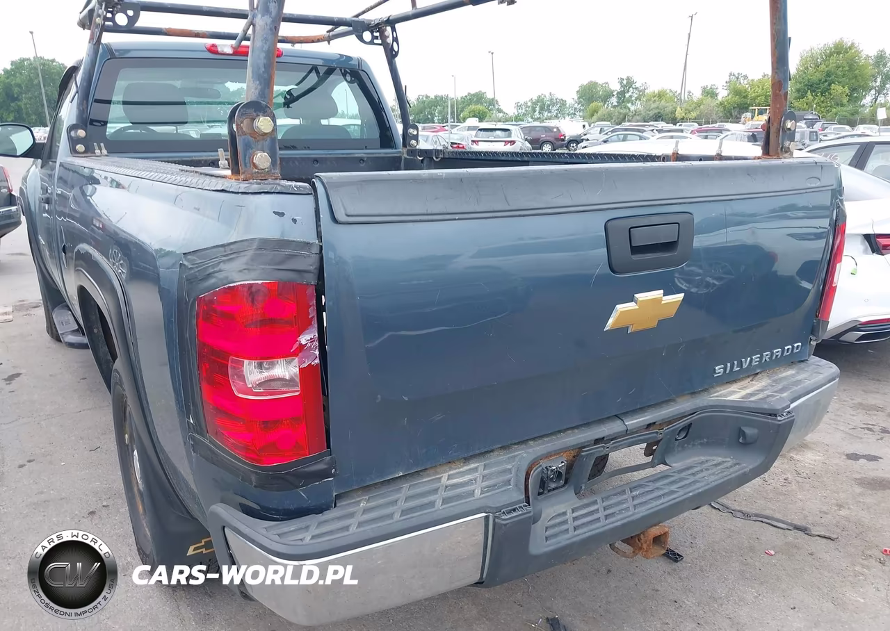 2010 Chevrolet Silverado 1500 Work Truck VIN:1GCPCPEX1AZ181594 - 6