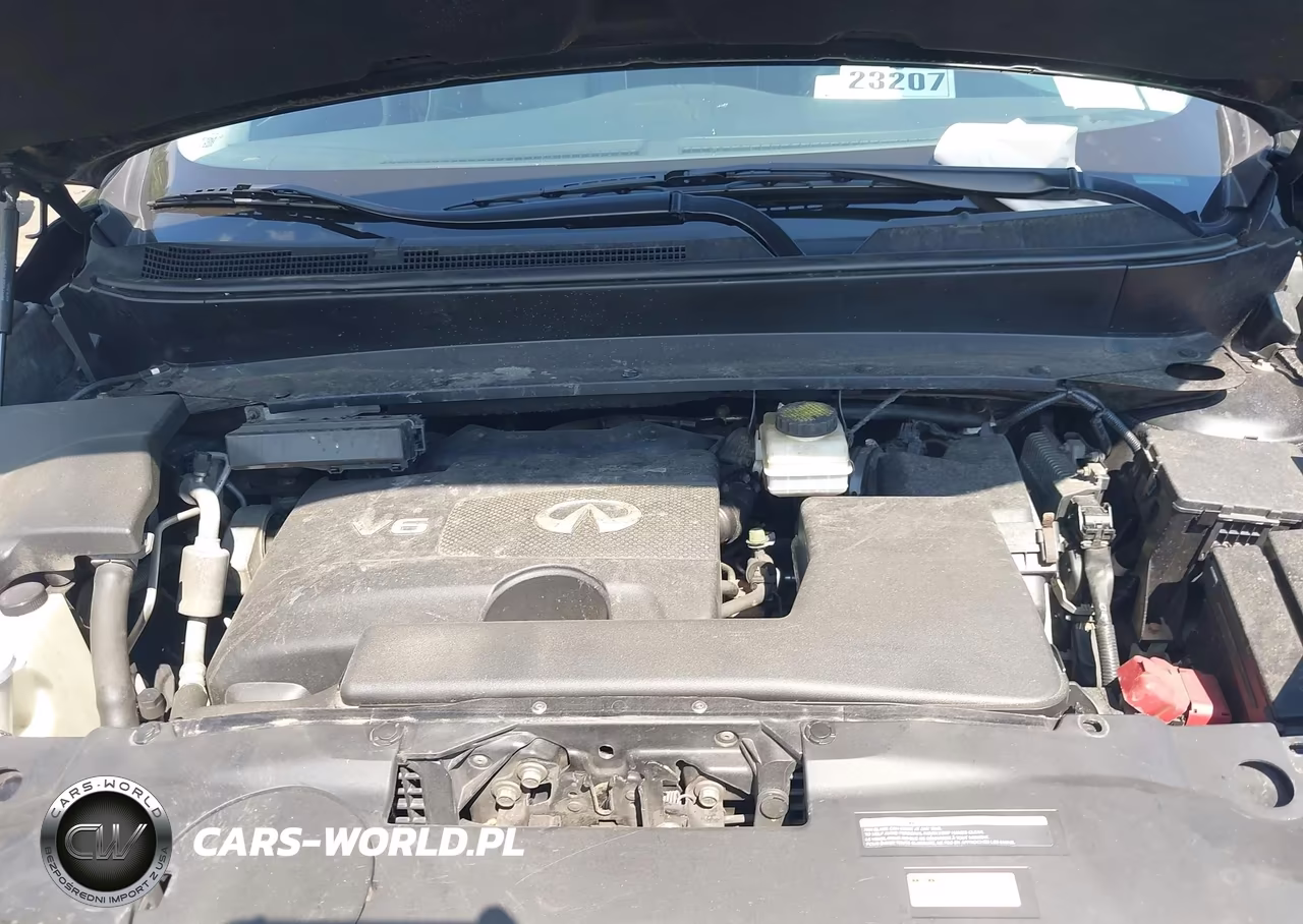 2019 Infiniti Qx60 Pure VIN:5N1DL0MN1KC515438 - 10
