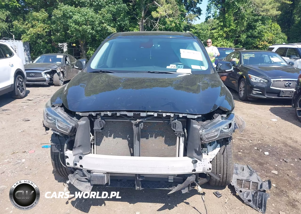 2019 Infiniti Qx60 Pure VIN:5N1DL0MN1KC515438 - 11