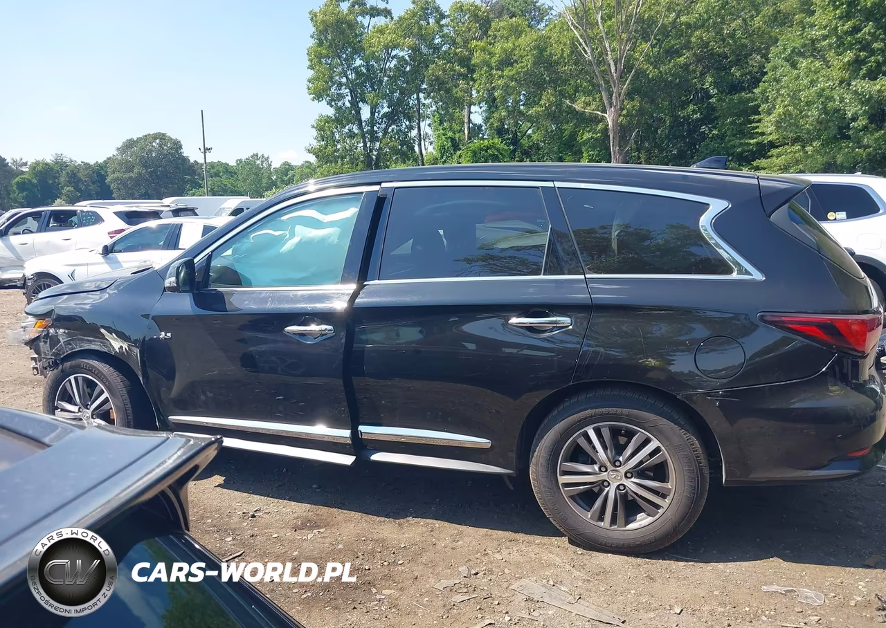 2019 Infiniti Qx60 Pure VIN:5N1DL0MN1KC515438 - 13