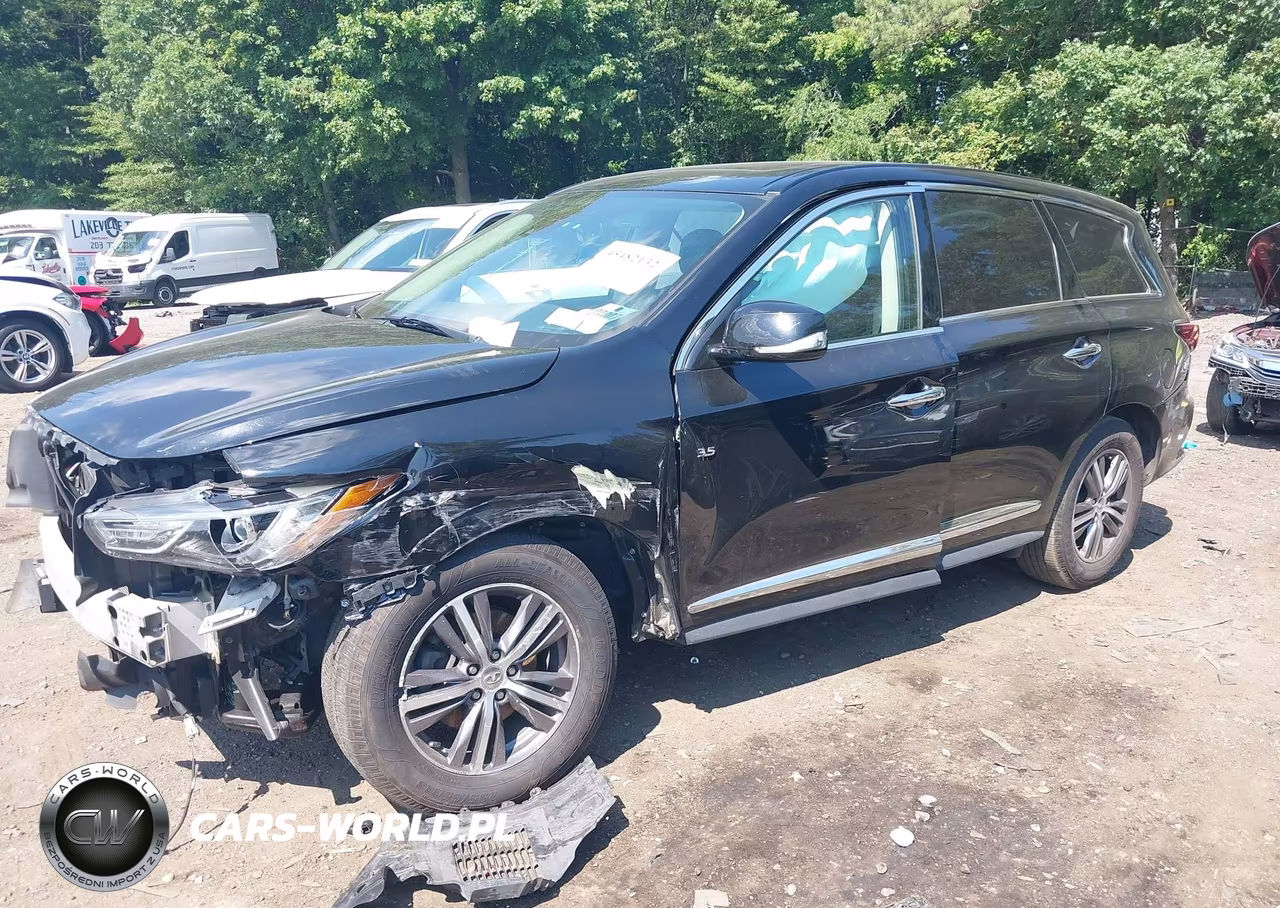 2019 Infiniti Qx60 Pure VIN:5N1DL0MN1KC515438 - 2