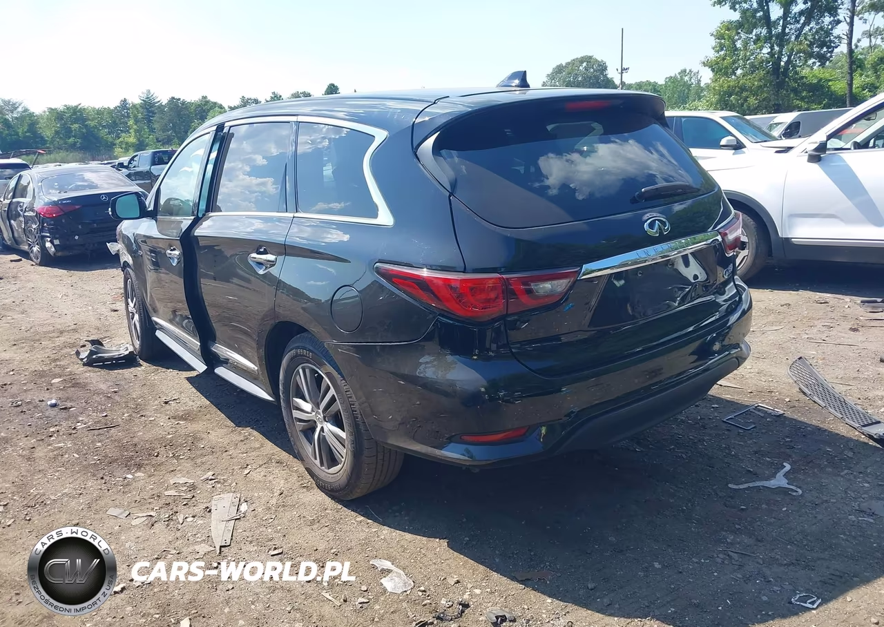 2019 Infiniti Qx60 Pure VIN:5N1DL0MN1KC515438 - 3