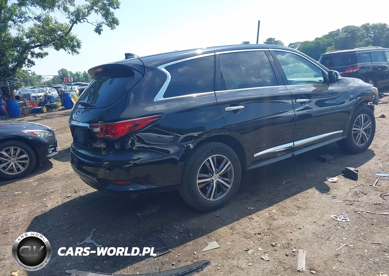 2019 Infiniti Qx60 Pure VIN:5N1DL0MN1KC515438 - 4