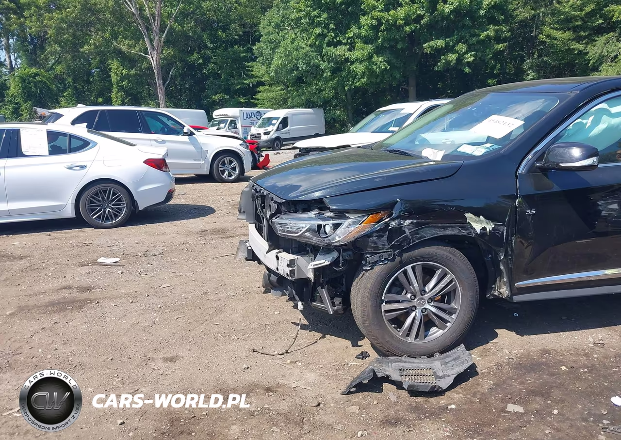 2019 Infiniti Qx60 Pure VIN:5N1DL0MN1KC515438 - 6
