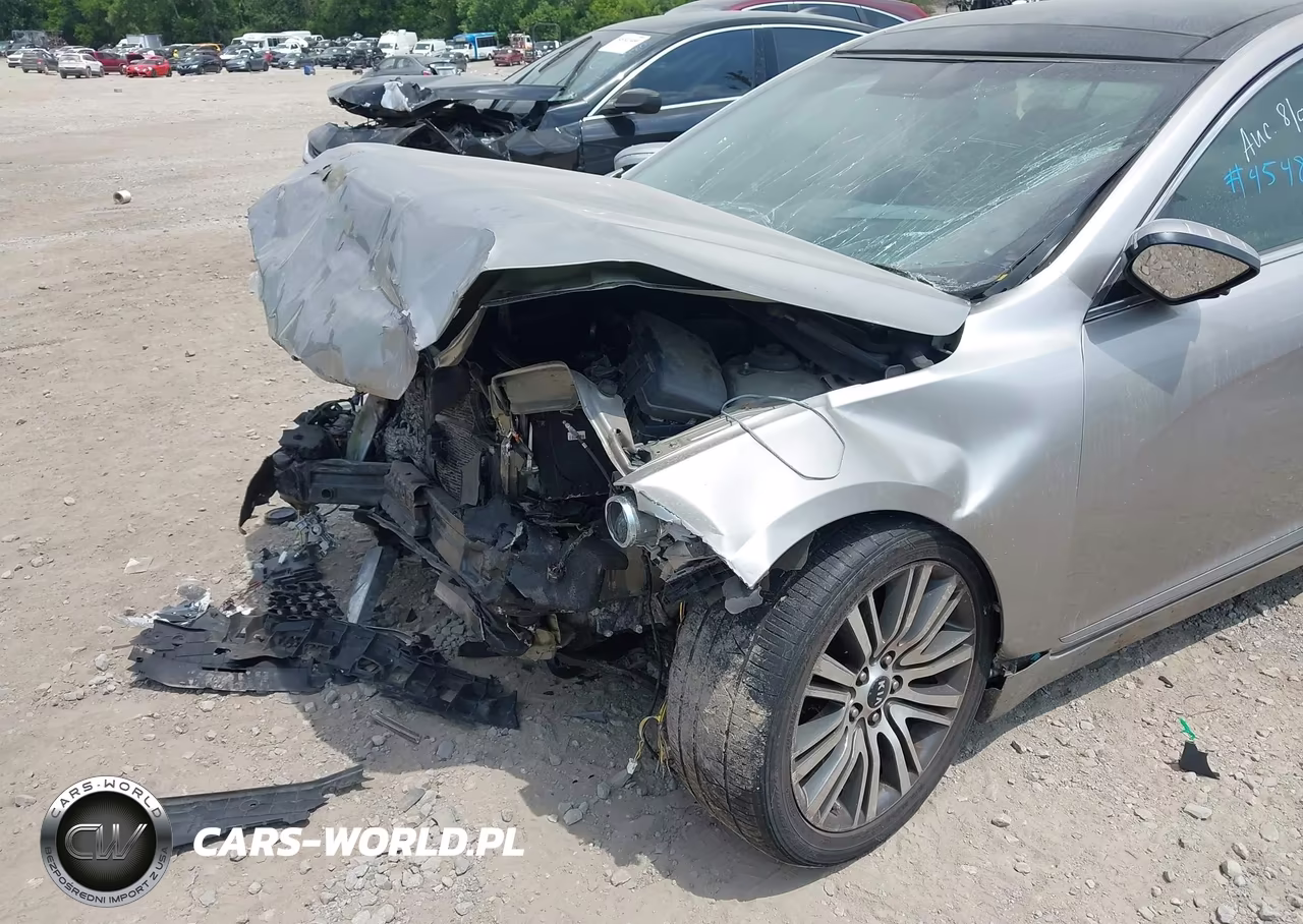 2014 Kia Cadenza Premium VIN:KNALN4D77E5153818 - 12