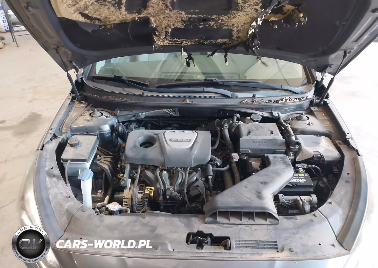 2019 Hyundai Sonata Eco VIN:5NPE24AA7KH774962 - 10