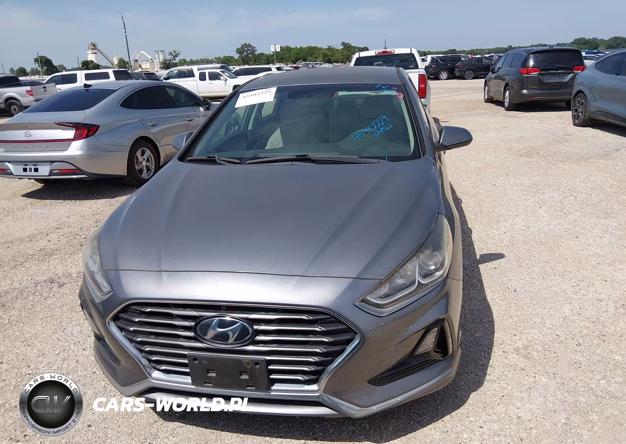 2019 Hyundai Sonata Eco VIN:5NPE24AA7KH774962 - 12