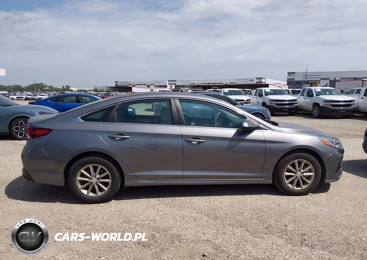 2019 Hyundai Sonata Eco VIN:5NPE24AA7KH774962 - 13