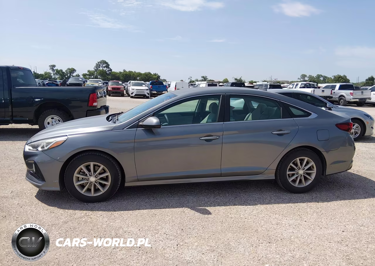 2019 Hyundai Sonata Eco VIN:5NPE24AA7KH774962 - 14