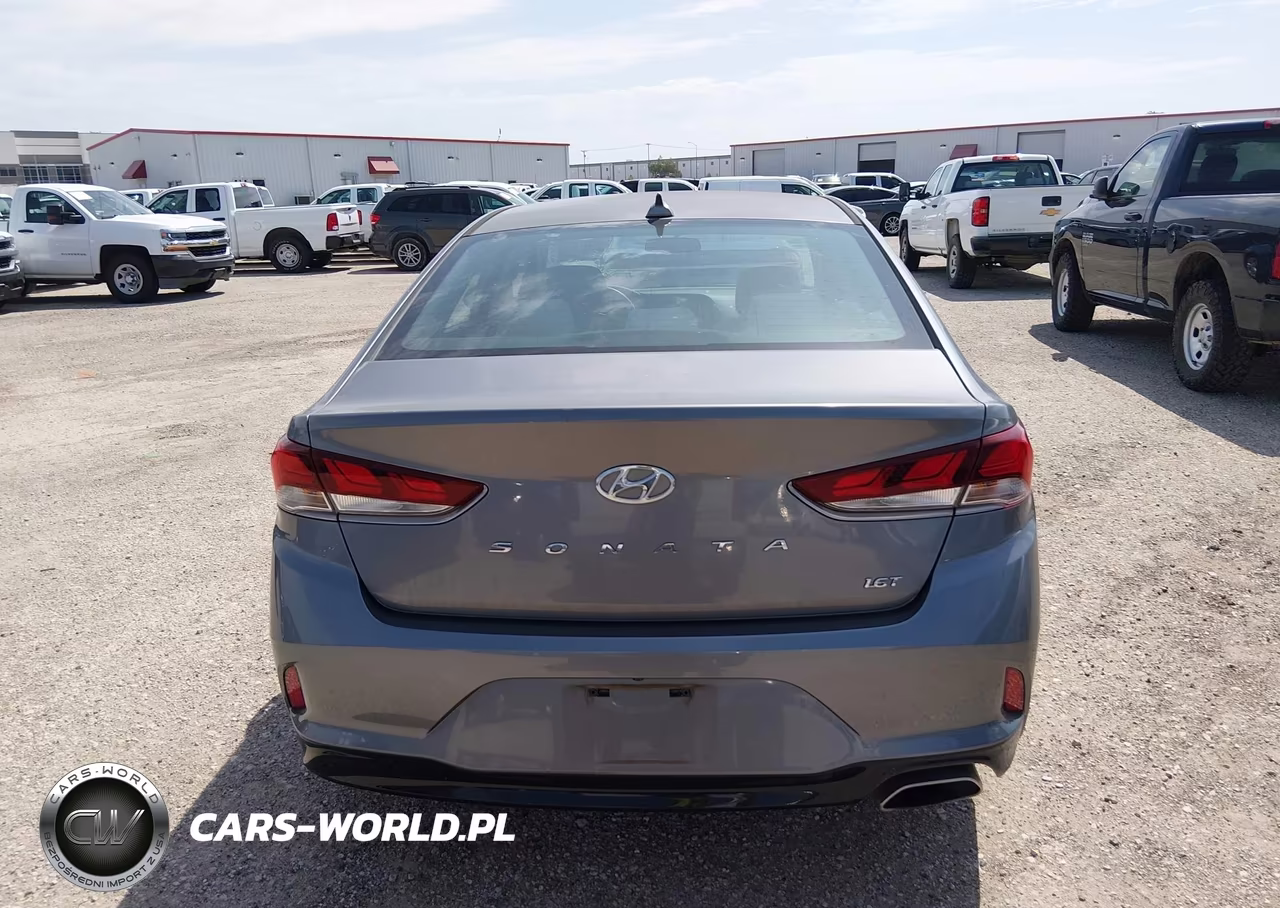 2019 Hyundai Sonata Eco VIN:5NPE24AA7KH774962 - 16