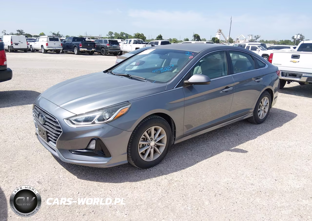 2019 Hyundai Sonata Eco VIN:5NPE24AA7KH774962 - 2