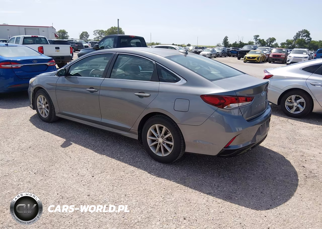2019 Hyundai Sonata Eco VIN:5NPE24AA7KH774962 - 3