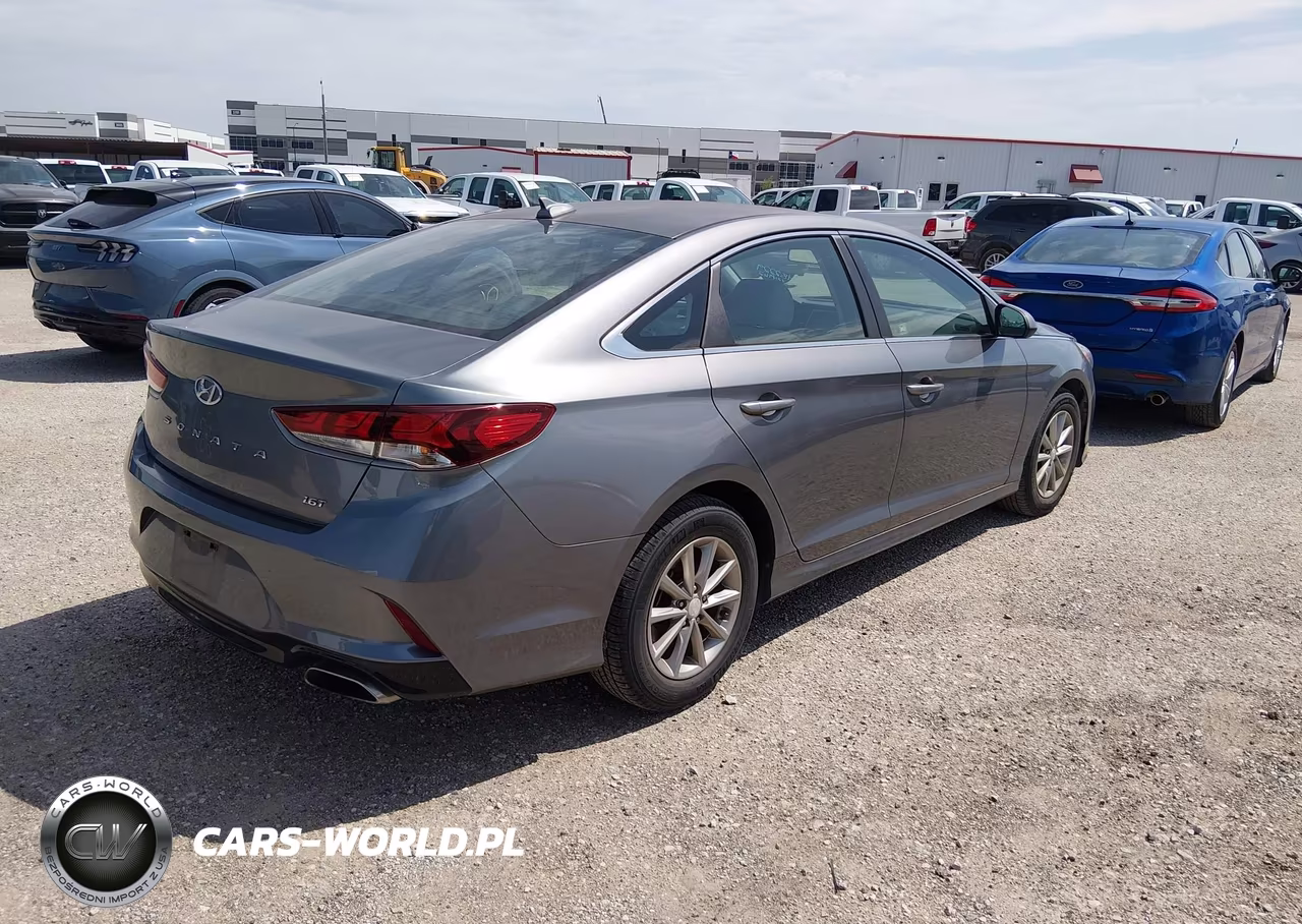 2019 Hyundai Sonata Eco VIN:5NPE24AA7KH774962 - 4