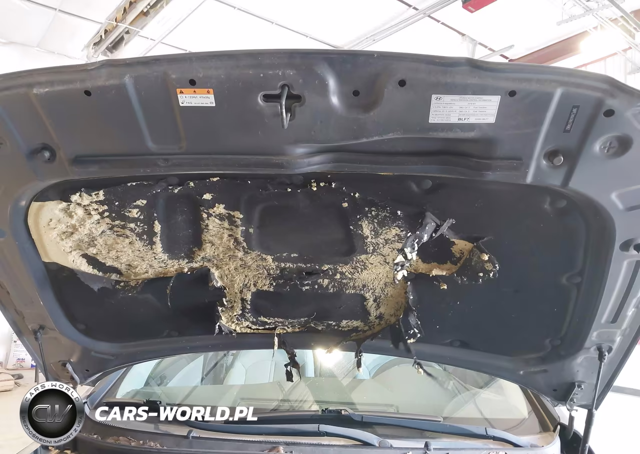 2019 Hyundai Sonata Eco VIN:5NPE24AA7KH774962 - 6