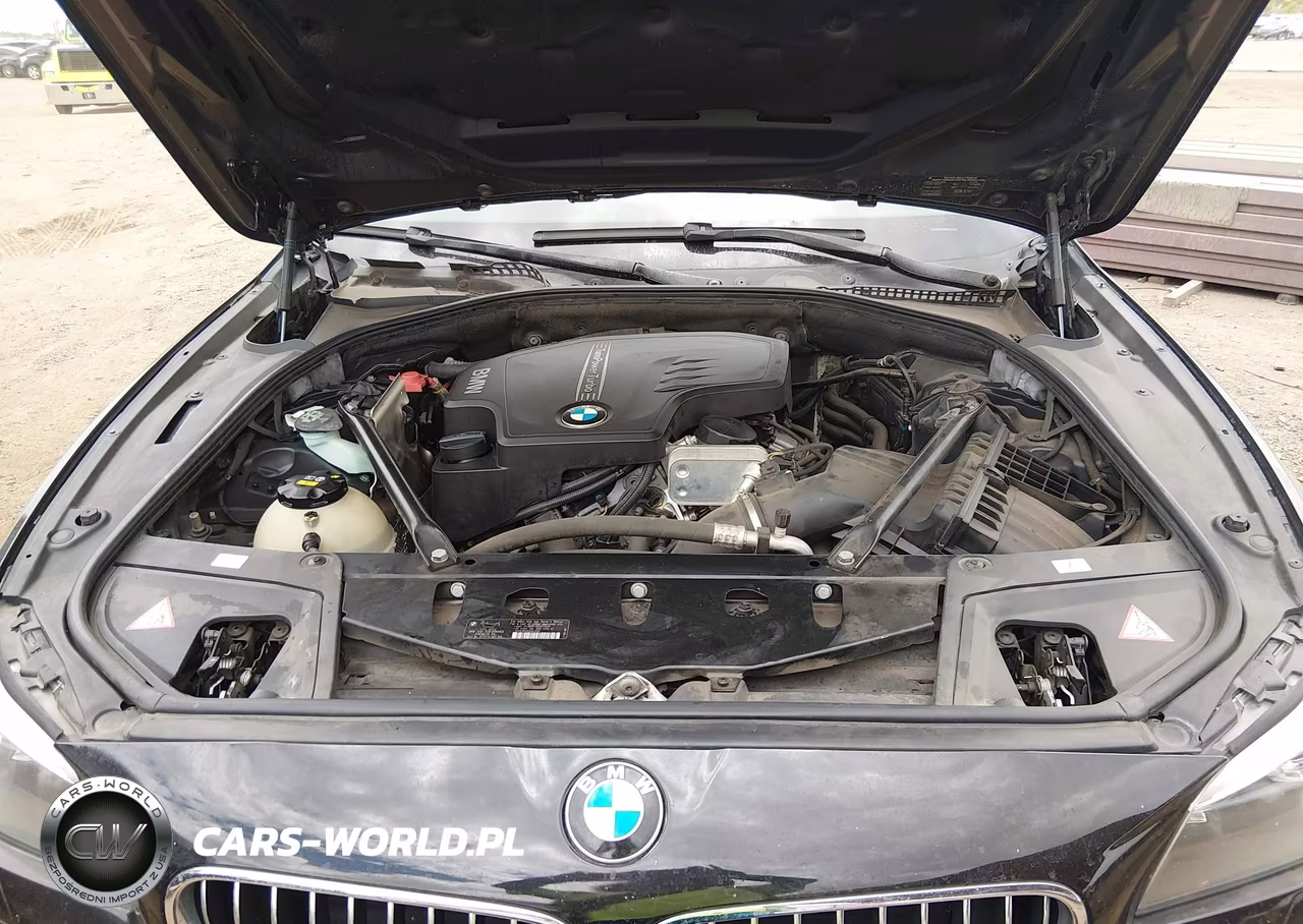 2014 BMW 528I VIN:WBA5A5C58ED507233 - 10