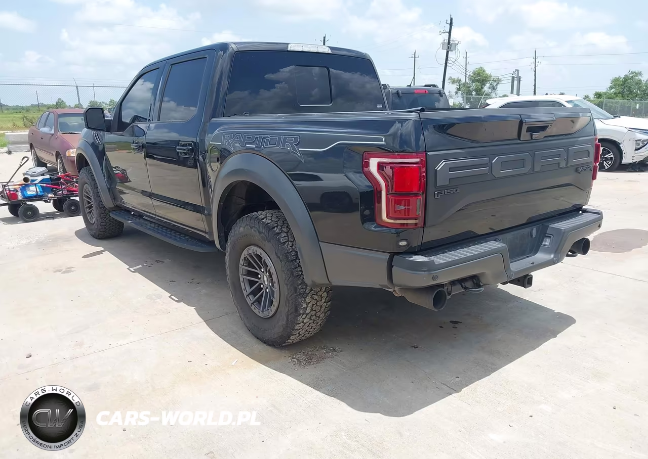 2019 Ford F-150 Raptor VIN:1FTFW1RG5KFB88027 - 3