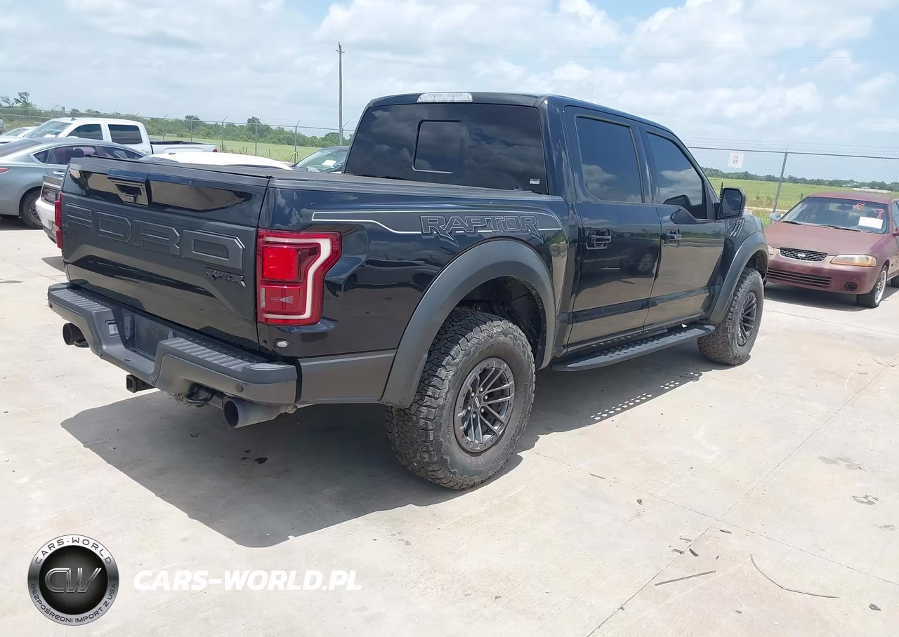 2019 Ford F-150 Raptor VIN:1FTFW1RG5KFB88027 - 4