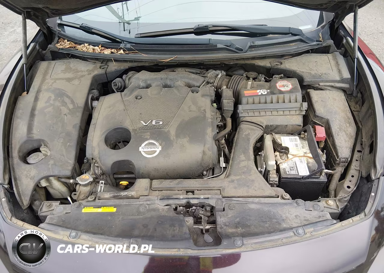 2010 Nissan Maxima 3.5 Sv VIN:1N4AA5AP9AC862228 - 10