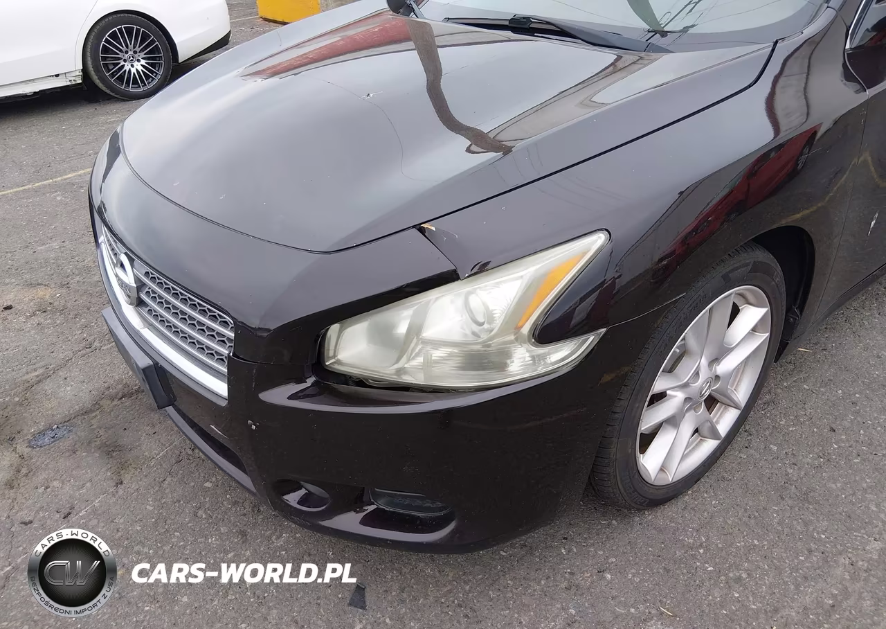 2010 Nissan Maxima 3.5 Sv VIN:1N4AA5AP9AC862228 - 17