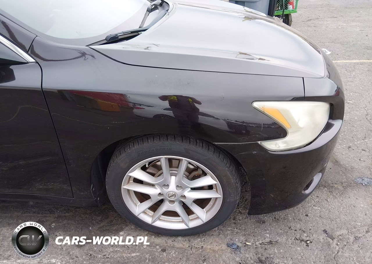 2010 Nissan Maxima 3.5 Sv VIN:1N4AA5AP9AC862228 - 19