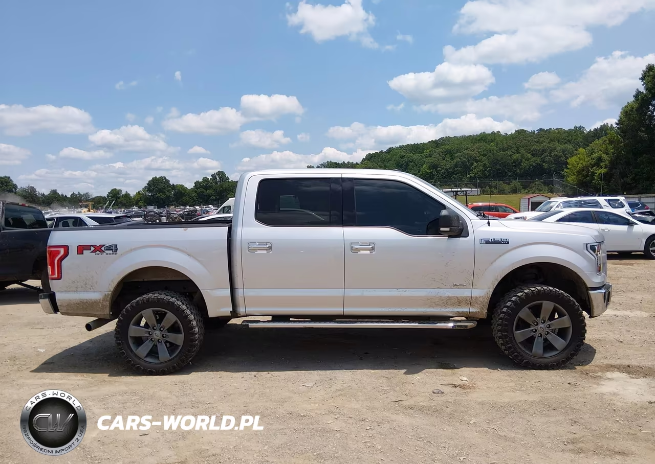2015 Ford F-150 King Ranch-Lariat-Platinum-Xl-Xlt VIN:1FTEW1EGXFKD89713 - 13