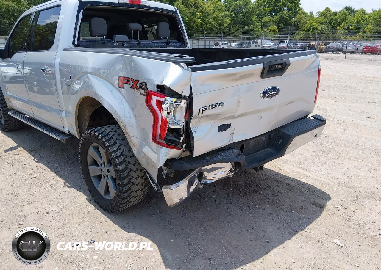 2015 Ford F-150 King Ranch-Lariat-Platinum-Xl-Xlt VIN:1FTEW1EGXFKD89713 - 6