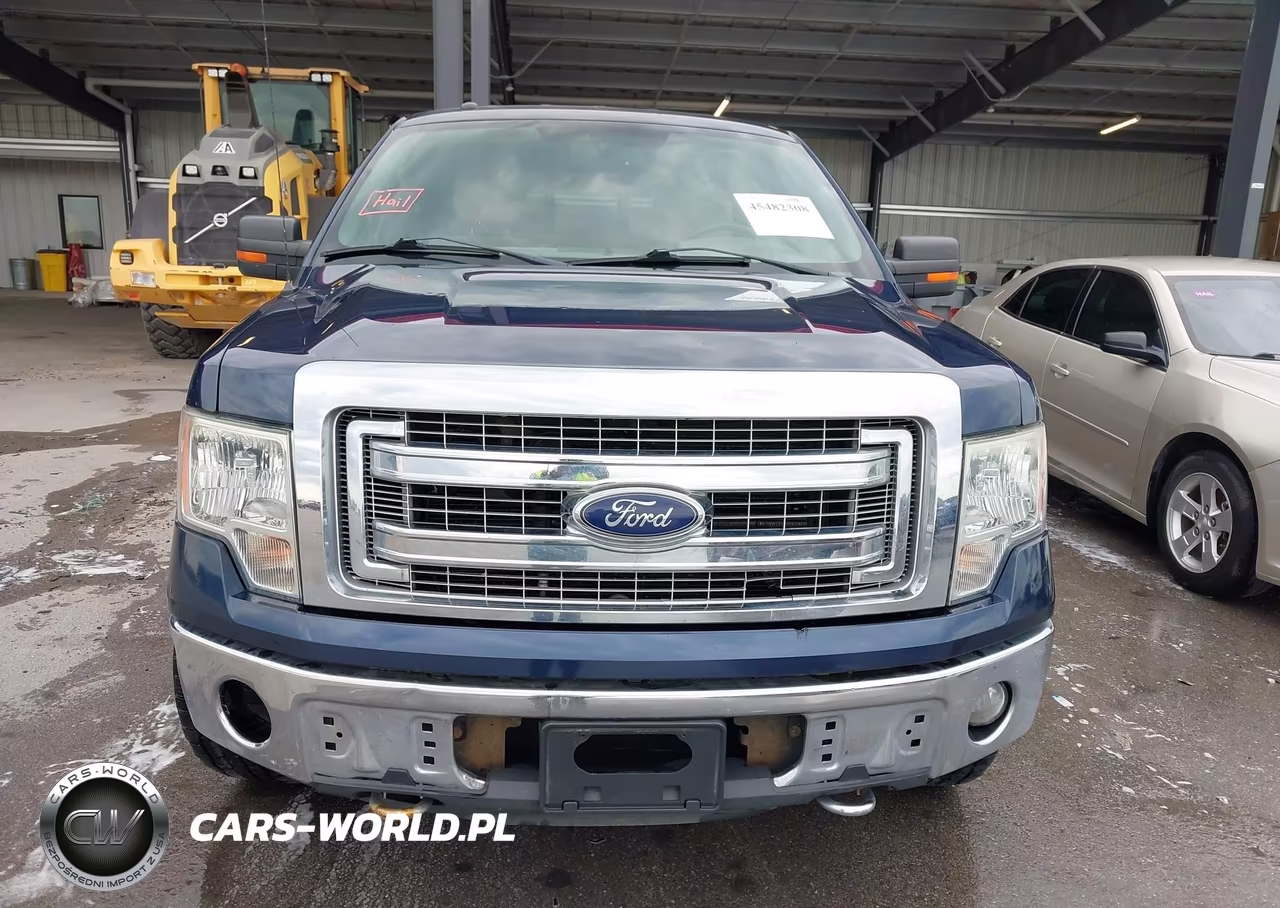 2013 Ford F-150 Xlt VIN:1FTFW1EF1DKF71650 - 12
