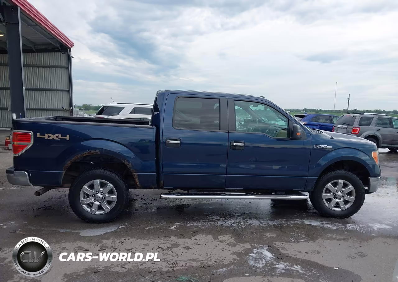 2013 Ford F-150 Xlt VIN:1FTFW1EF1DKF71650 - 13