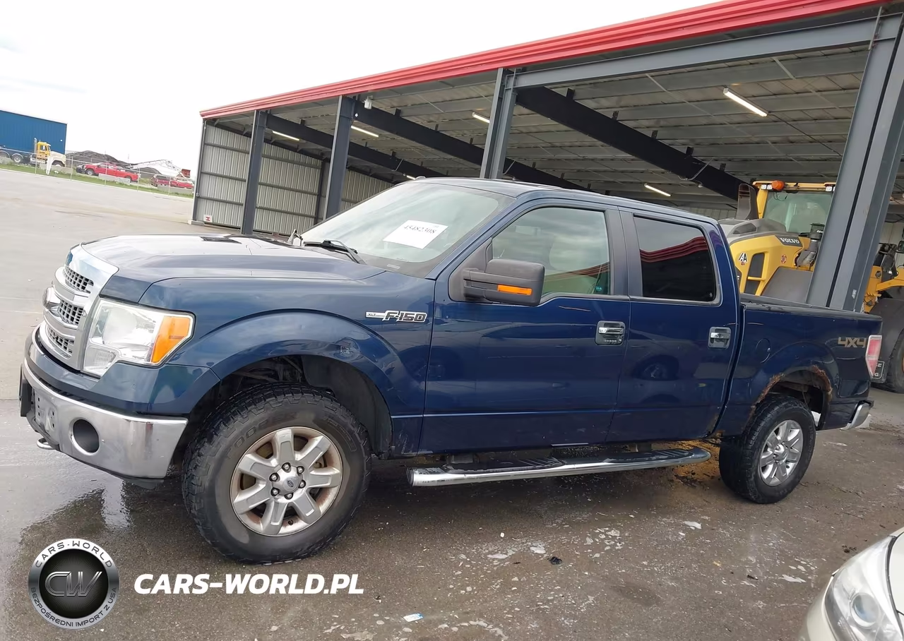 2013 Ford F-150 Xlt VIN:1FTFW1EF1DKF71650 - 14